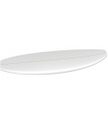 PAIN PU 6'0 US BLANKS