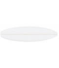 PAIN PU 6'6 US BLANKS